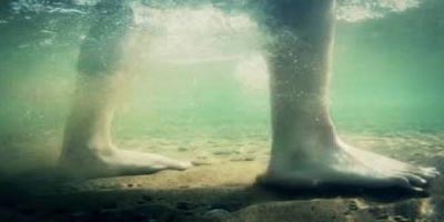 Τι πρέπει να κάνετε εάν πατήσετε δράκαινα στη θάλασσα;