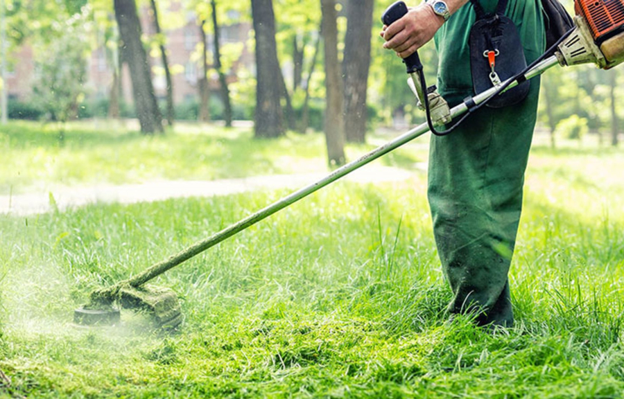 Χρήσιμος οδηγός για τα ακαθάριστα οικόπεδα: Τι κάνουμε με τις δηλώσεις - Πρόστιμα από 1.000 ευρώ στους... απείθαρχους