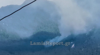 Φωτιά σε δύο διαφορετικά μέτωπα στη Βόρεια Εύβοια, σηκώθηκαν αεροπλάνα (βίντεο)