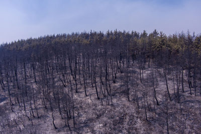 Φωτιά στον Έβρο: Ακραίες συνθήκες εκεί που εντοπίστηκε ο απανθρακωμένος, 700 βαθμοί κελσίου και φλόγες 25 μέτρα