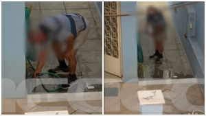 Φρίκη στη Νέα Φιλαδέλφεια: Ηλικιωμένος έπνιξε δύο μικρά γατάκια που είχαν κρυφτεί σε λούκι