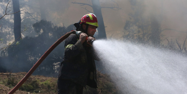 Μεγάλες φωτιές τώρα σε Αρτέμιδα και Τανάγρα - Πλήρης ετοιμότητα για εκκένωση κατοικημένης περιοχής
