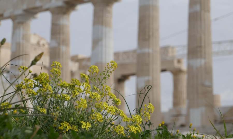 Δωρεάν είσοδος σε μουσεία και αρχαιολογικούς χώρους την Πέμπτη 6 Μαρτίου