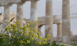 Δωρεάν είσοδος σε μουσεία και αρχαιολογικούς χώρους την Πέμπτη 6 Μαρτίου