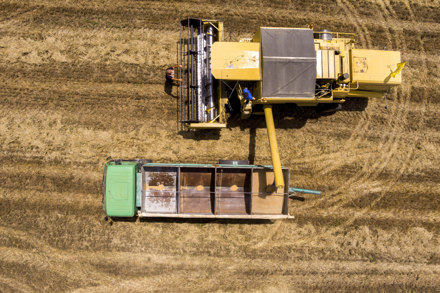 Συμβολαιακή γεωργία: Πότε ξεκινάει η εφαρμογή της ΑΑΔΕ για μείωση 50% στον φόρο εισοδήματος