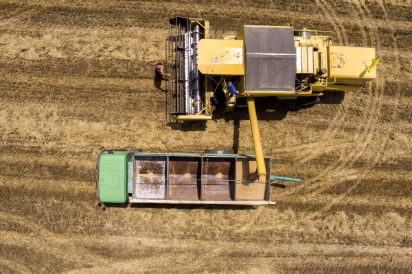 Συμβολαιακή γεωργία: Πότε ξεκινάει η εφαρμογή της ΑΑΔΕ για μείωση 50% στον φόρο εισοδήματος