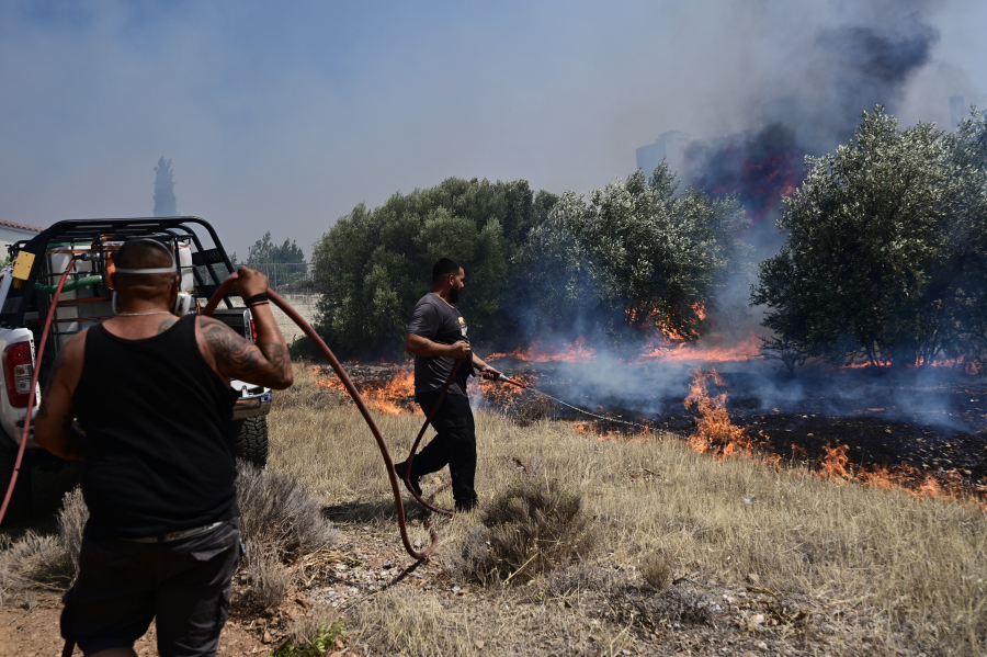Φωτιά τώρα στην Κάρυστο - Εστάλη μήνυμα από το 112