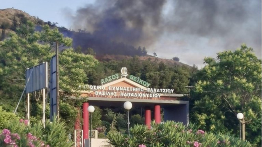 Φωτιά στο Άλσος Βεΐκου: Ανήλικοι πέταξαν κροτίδες και λαμπάδιασαν τα δέντρα