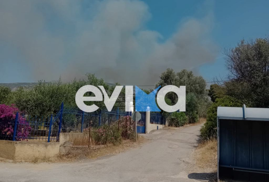 Μεγάλη φωτιά τώρα στην Εύβοια: Κοντά σε σπίτια οι φλόγες - Εστάλη 112