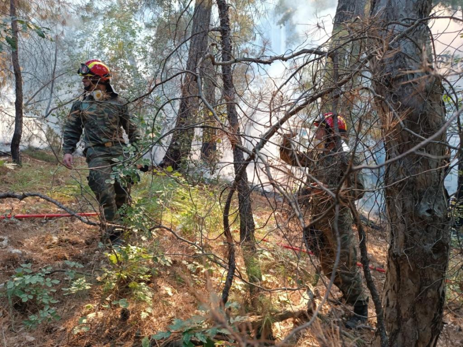 Σε εξέλιξη τα πύρινα μέτωπα σε Δαδιά και Μυτιλήνη, σε ύφεση στην Ηλεία (βίντεο, φωτο)