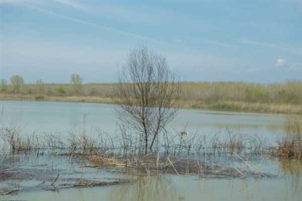 Μειώνεται η στάθμη του νερού στη λίμνη Κερκίνη