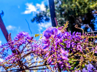 Αίθριος ο καιρός σήμερα, έως και 24 βαθμούς η θερμοκρασία