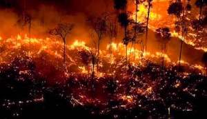 Ο Αμαζόνιος φλέγεται - Ρεκόρ πυρκαγιών στον μεγαλύτερο πνεύμονα πράσινου του πλανήτη (pics&amp;vid)