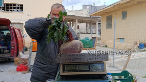 Χανιώτης παραγωγός έβγαλε παντζάρι γίγας - Πόσο ζυγίζει (Βίντεο)