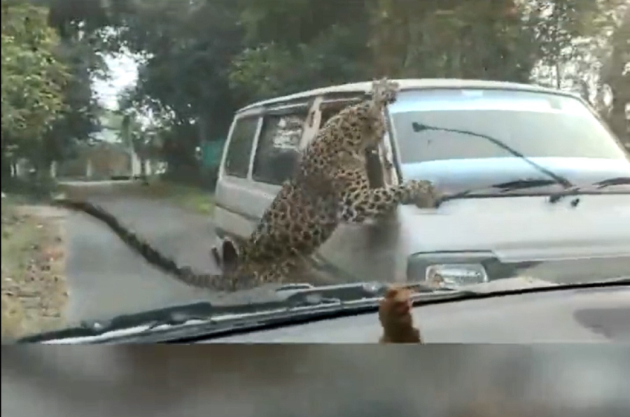 Gurbaksh Singh Chahal @gchahal