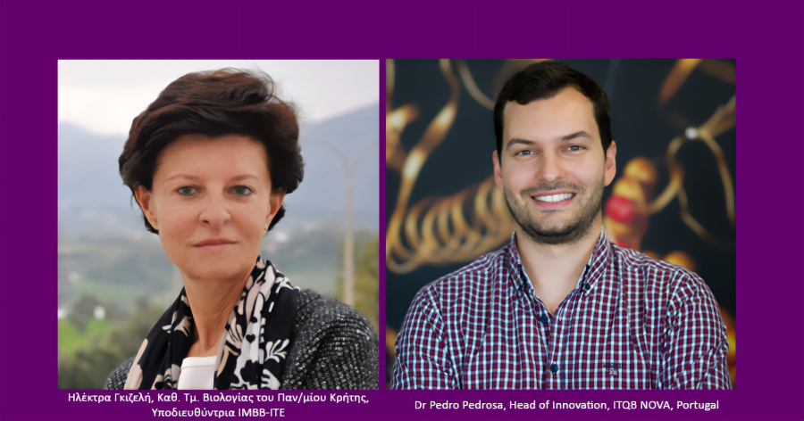 Ίδρυση Kέντρου Αριστείας στο ITE με στόχο την εύρεση καινοτόμων λύσεων για διάγνωση μεταδοτικών ασθενειών