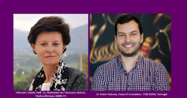 Ίδρυση Kέντρου Αριστείας στο ITE με στόχο την εύρεση καινοτόμων λύσεων για διάγνωση μεταδοτικών ασθενειών