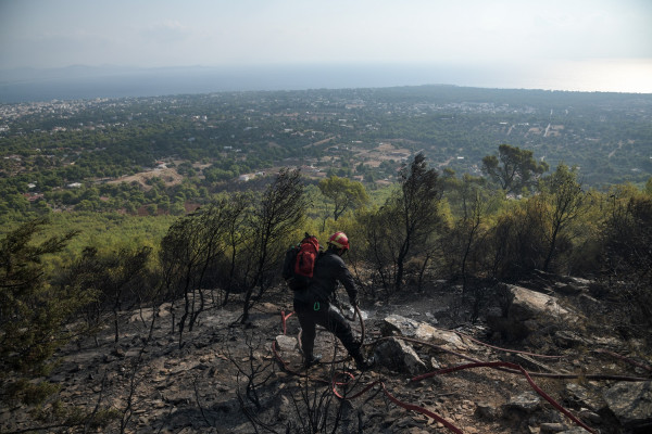 Πυρόπληκτος από Μάτι μιλά για την φωτιά στη Νέα Μάκρη: «Ξυπνάνε συναισθήματα και σε γυρνάνε πίσω» (vid)
