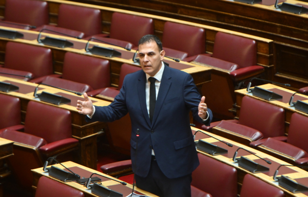 Καραμέρος: «Ο ΔΕΔΔΗΕ ταλαιπωρεί καθημερινά την ελληνική κοινωνία»