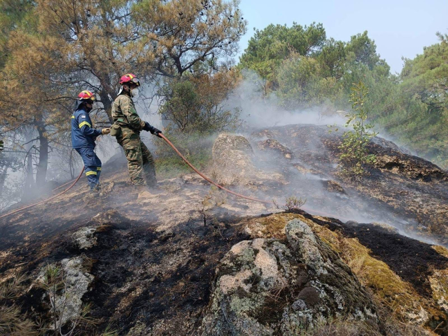 Φωτιές: Η κατάσταση στα μέτωπα Μεγάρων, Μυτιλήνης και Δαδιάς Έβρου, σύμφωνα με την Πυροσβεστική (εικόνες)