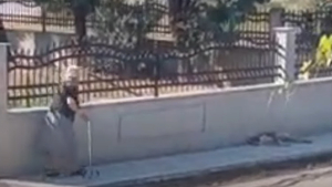 Οργή με βίντεο που δείχνει ηλικιωμένη να επιτίθεται σε σκύλο που απλά κοιμόταν