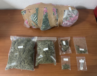 Κατερίνη: Μία σύλληψη για καλλιέργεια δενδρυλλίων κάνναβης και κατοχή ναρκωτικών
