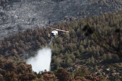 Φωτιά στην Εύβοια: Εκκενώνεται οικισμός στην Κάρυστο