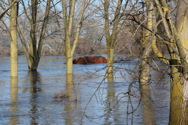 Έξι πρόσφυγες πνίγηκαν σήμερα στα σύνορα της Τουρκίας με τη Συρία