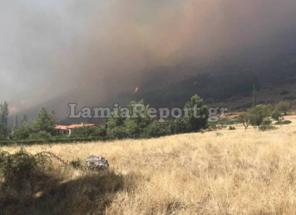 Ανεξέλεγκτη η φωτιά στους Δελφούς, απειλείται ο εθνικός Εθνικός Δρυμός Παρνασσού - Πύρινα μέτωπα σε Αρτέμιδα, Λάρισα, Δράμα και Έβρο