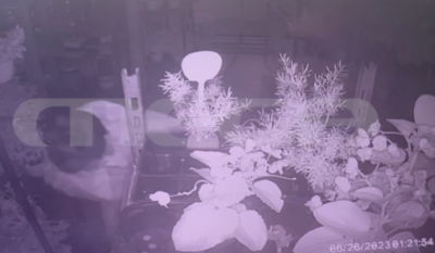 Κλέφτης... λουλουδιών -Βίντεο ντοκουμέντο από διάρρηξη σε φυτώριο στη Θεσσαλονίκη