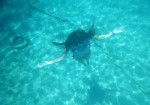 «Χτυπάει» κόκκινο από σήμερα η θερμοκρασία