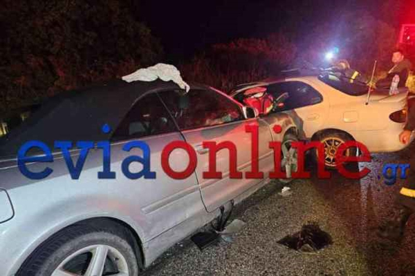 Εύβοια: Ένας νεκρός και 7 τραυματίες σε τροχαίο