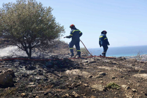 Υπό μερικό έλεγχο η πυρκαγιά στην Πλάκα Κερατέας