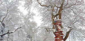 photo: Eurokinissi