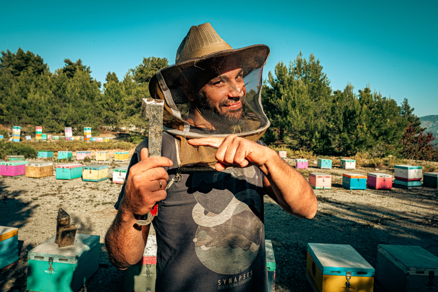 Η ζωή στη Βόρεια Εύβοια ξαναρχίζει από την κυψέλη