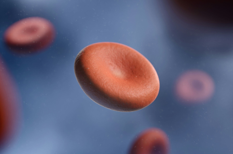 Η τεχνητή νοημοσύνη ρίχνει ένα νέο «έξυπνο βλέμμα» στην αιματολογία