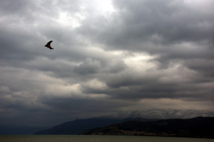 Photo: Eurokinissi