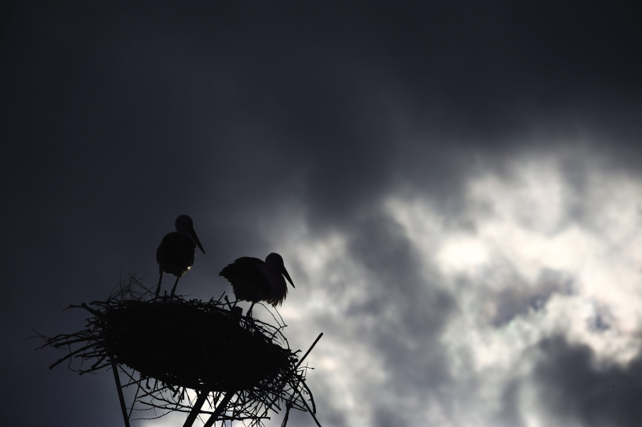 «Πράσινο» πανευρωπαϊκό ρεκόρ για τη Βουλγαρία