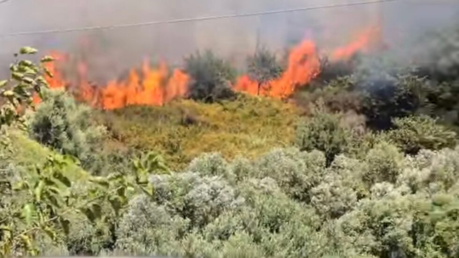 Εύβοια: Χειροπέδες σε 56χρονη για δύο εμπρησμούς - Την πρόδωσε ο αναπτήρας