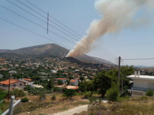 Photo: facebook Γιάννης Σφακιανάκης