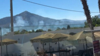 Φωτιά τώρα σε Νέα Μακρη και Μαραθώνα