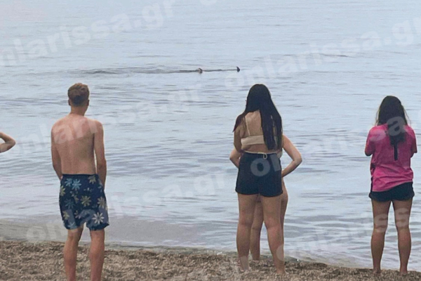 Λάρισα: Εντοπίστηκε καρχαριοειδές κοντά στην παραλία