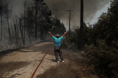 Ανάδοχος Αναδάσωσης: Έρχονται άμεσες αναδασώσεις από εταιρείες και ΜΚΟ