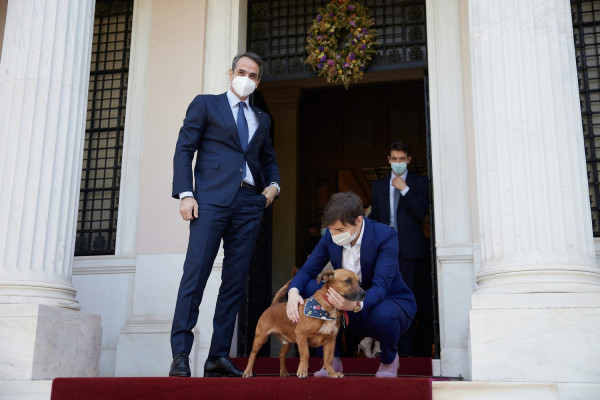 Ο Πίνατ ξετρέλανε την πρωθυπουργό της Σερβίας (εικόνες)