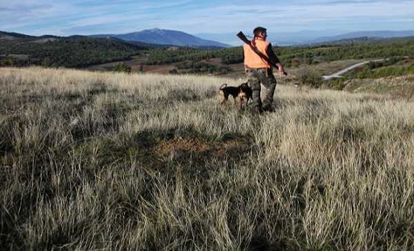 Στο ΣτΕ θα κριθεί η απόφαση που παρακάμπτει τους κυνηγετικούς συλλόγους για άδεια κυνηγιού
