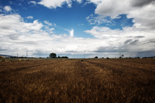 Βοσκός εντόπισε νεκρό 71χρονο σε αγρόκτημα στη Βοιωτία