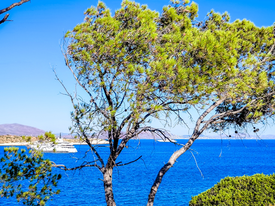 Απάτες με βίλες στα ελληνικά νησιά - Έδωσαν 3.500 ευρώ για σπίτι στην Άνδρο