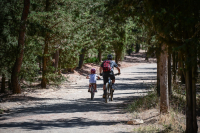 ΥΠΕΝ: Οι 7 «άξονες» για την διαχείριση των δασών