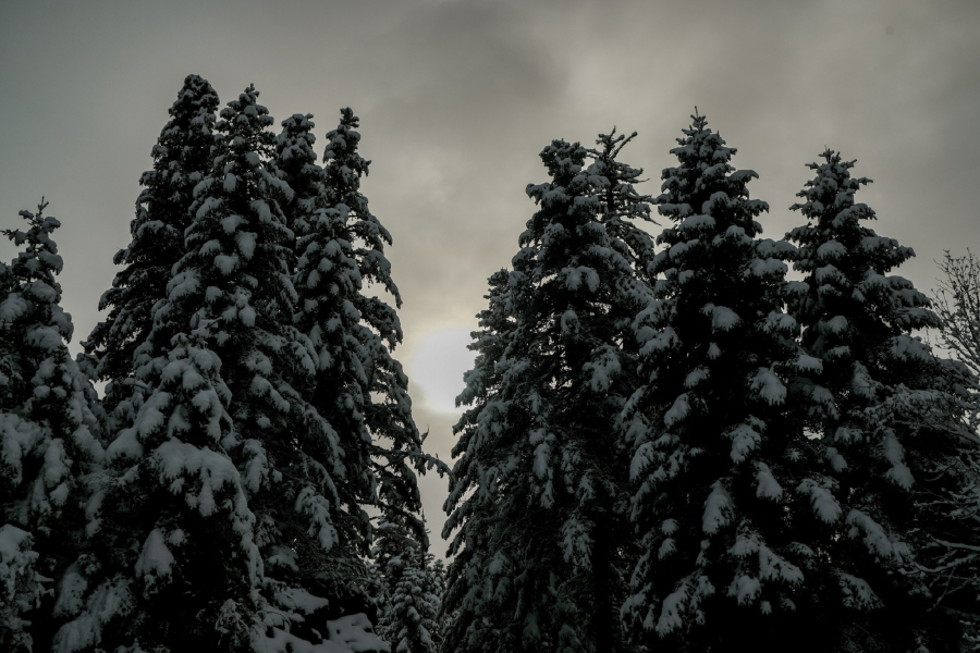 Καιρός: Ξεκινά «πολική κακοκαιρία» - Βουτιά της θερμοκρασίας και χιόνια