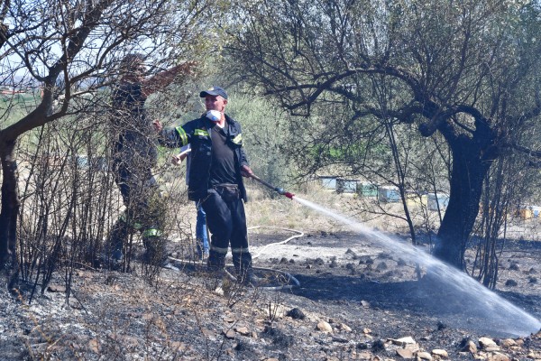 Κηφισιά: Υπό έλεγχο η φωτιά στο ρέμα Χελιδονούς